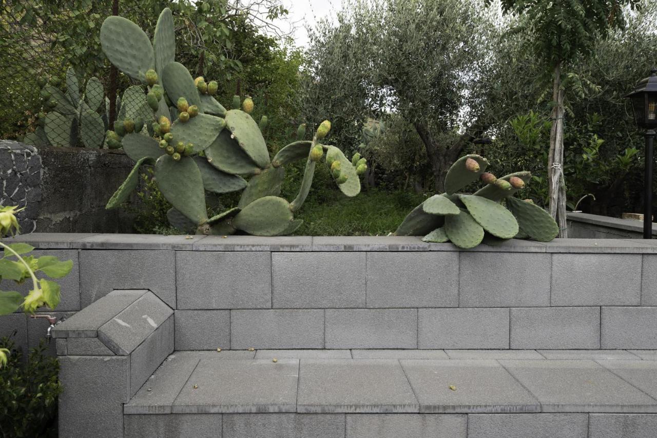 Holiday home Casetta Delle Rose Sull'etna